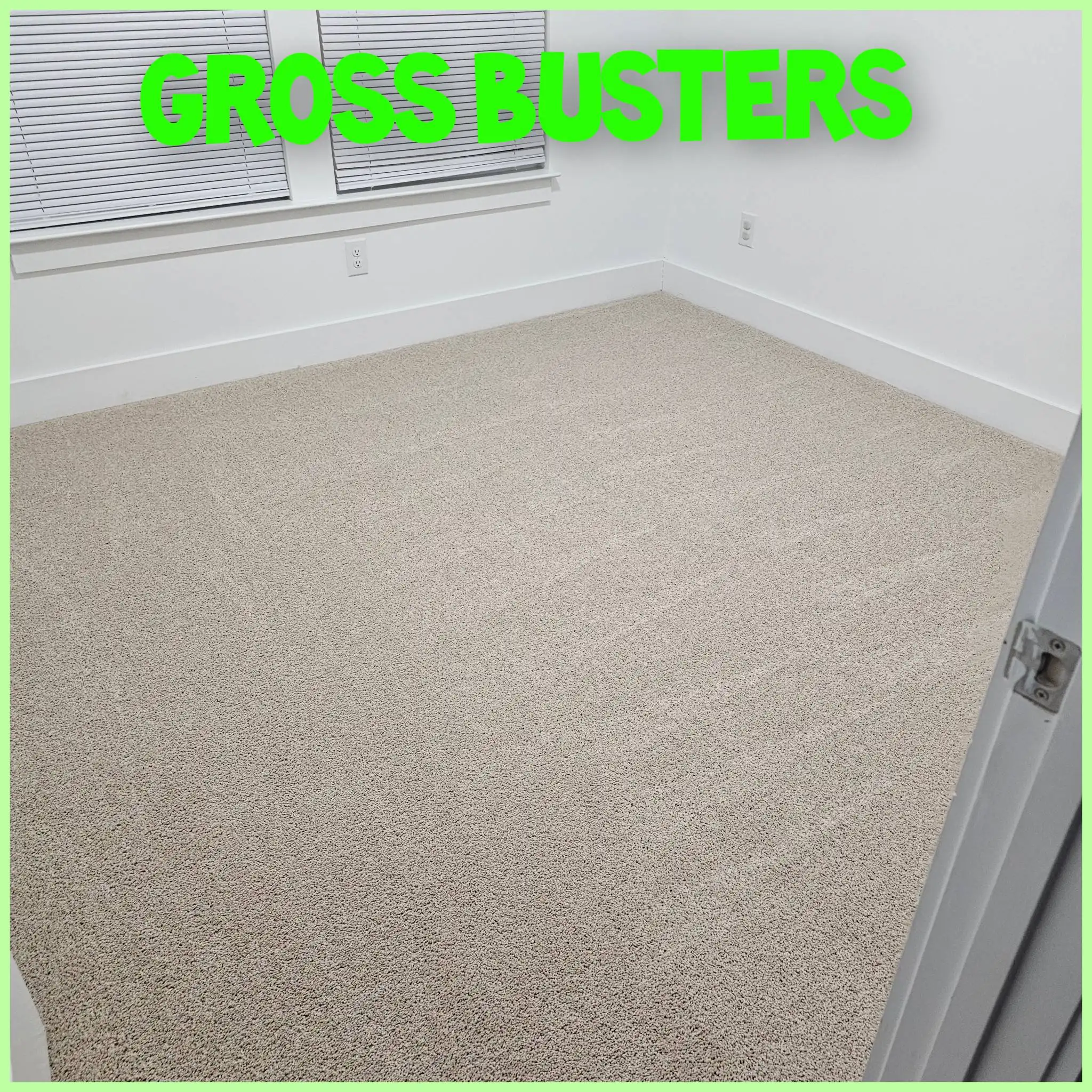 A clean room with white carpet for flooring.